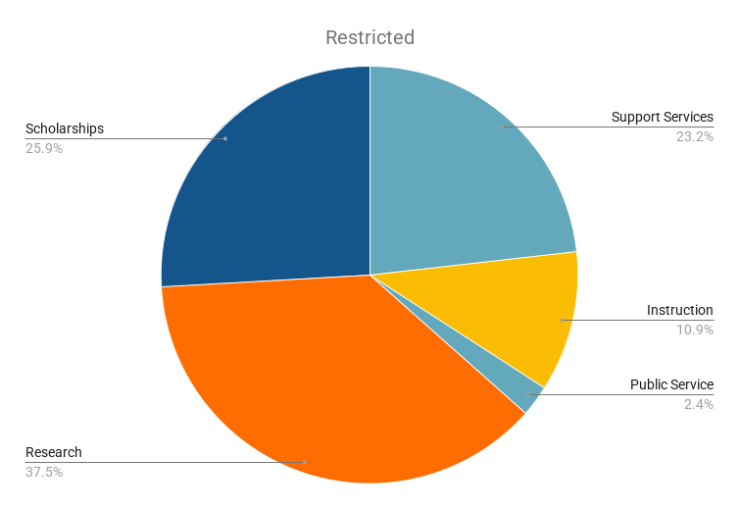 Foundation Support by Type - Restricted